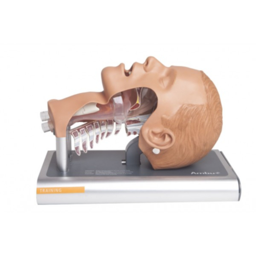 Simulateur d'Intubation Ambu - 10903