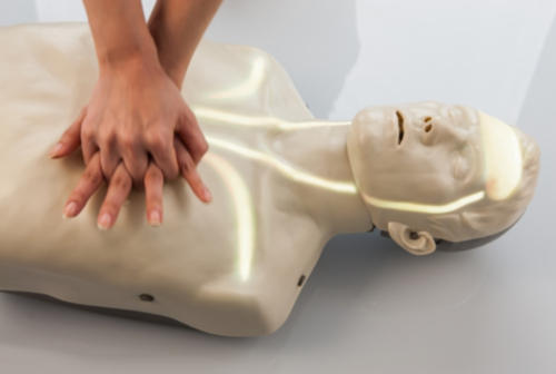 Mannequin de formation Brayden - Eclairage LED blanc - 1711