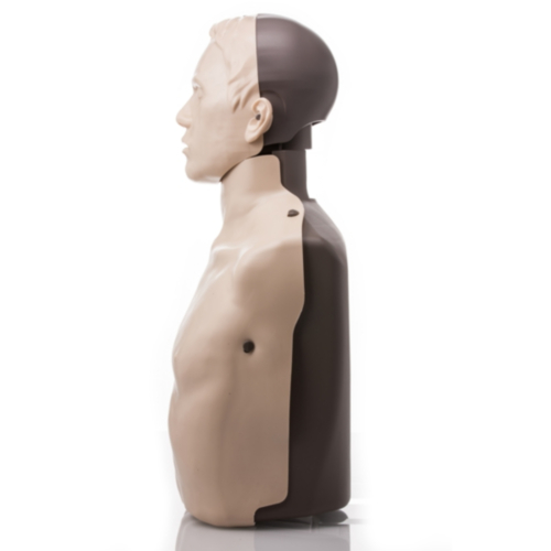 Mannequin de formation Brayden - Eclairage LED blanc - 1257
