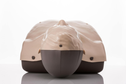 Mannequin de formation Brayden - Eclairage LED blanc - 10427