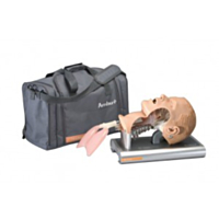 Ambu Airway Management Trainer