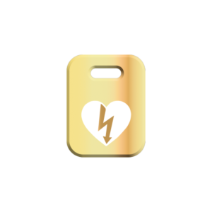 Maintenance Défibrillateur Formule Gold